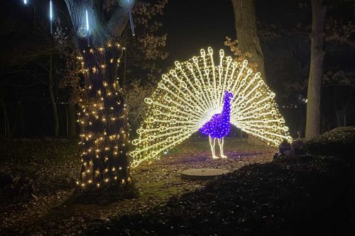 Vánočně nasvícená ZOO Hluboká nad Vltavou