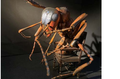 Mega brouci na Výstavišti